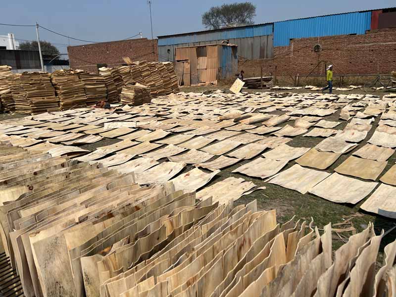 Drogen geschilde vellen hout