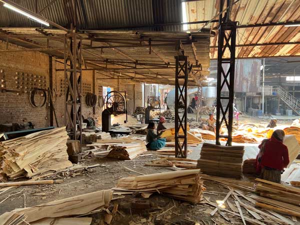 Houten plaatmateriaal fabriek, sorteren geschilde vellen hout