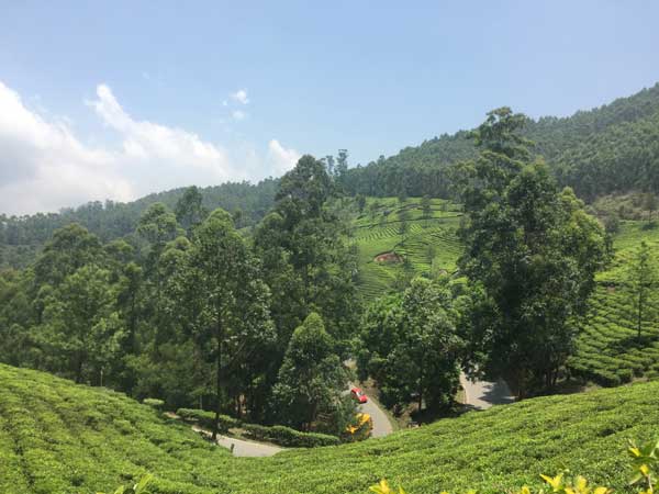 Munnar bergen