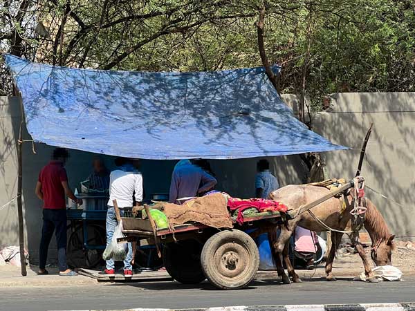 Paard met wagen India